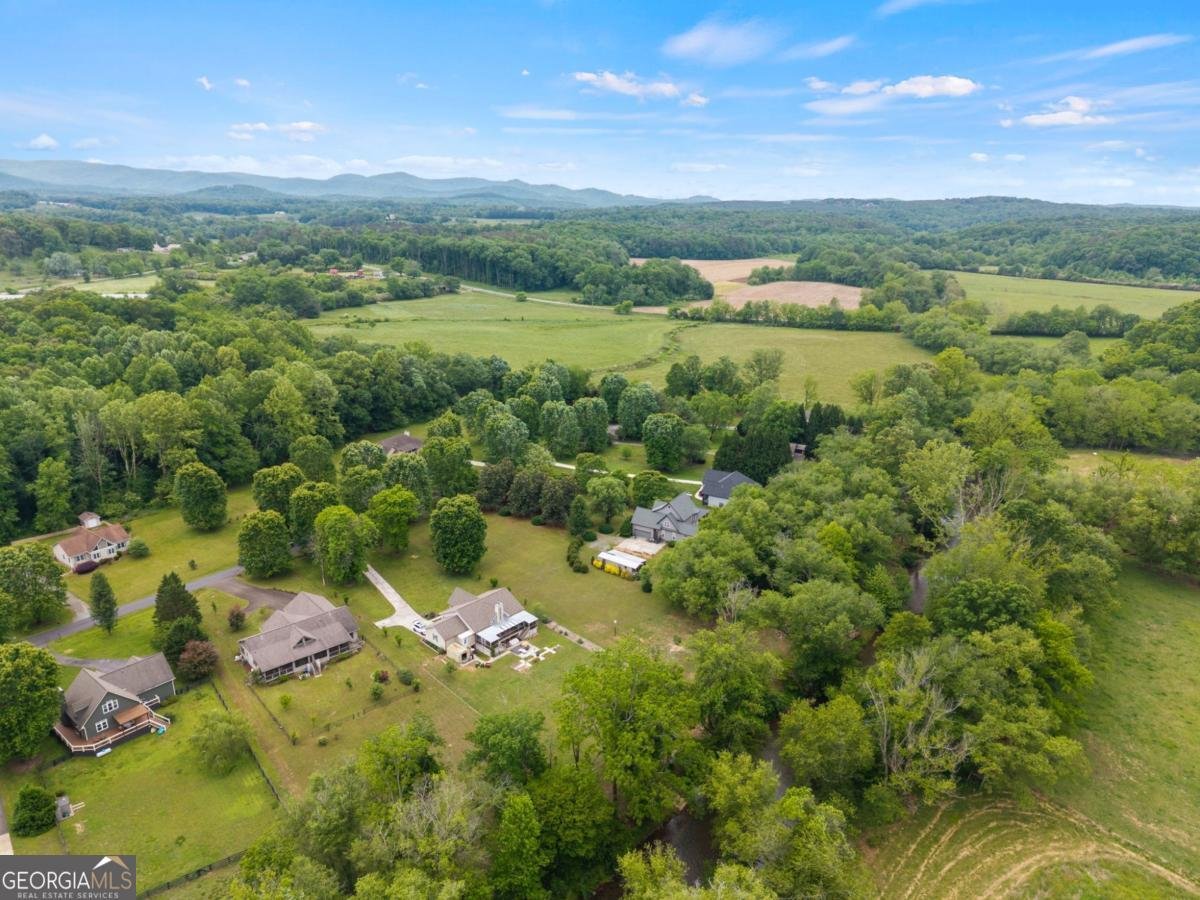 315 Cartecay River Run Ellijay - Photo 44
