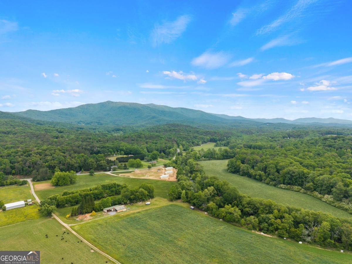 315 Cartecay River Run Ellijay - Photo 45