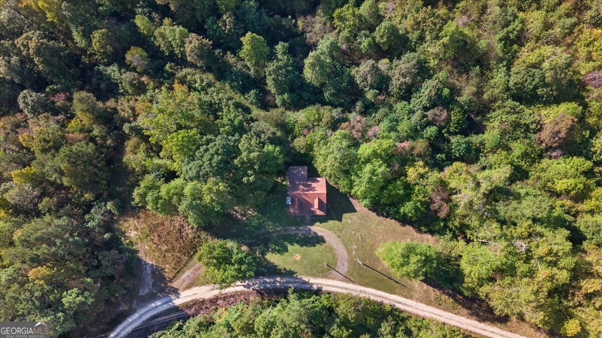 905 Hancock Mountain Trail Waleska - Photo 49