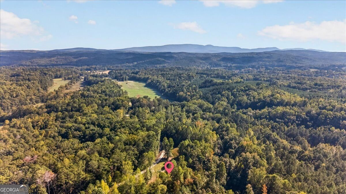 905 Hancock Mountain Trail Waleska - Photo 51