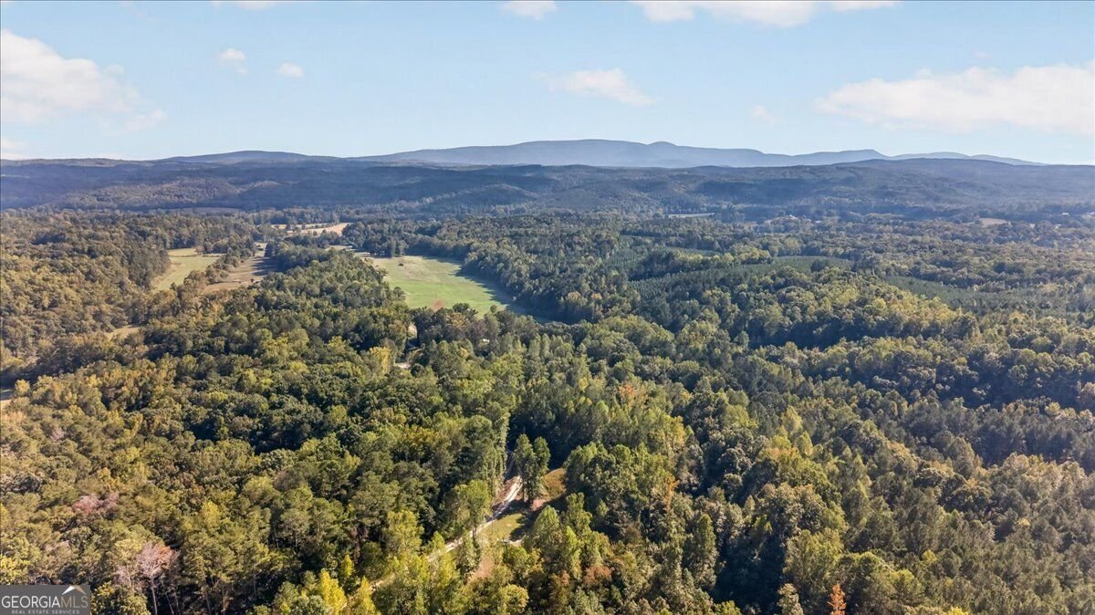 905 Hancock Mountain Trail Waleska - Photo 52