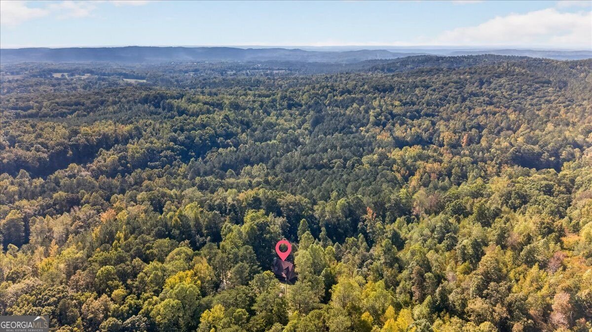 905 Hancock Mountain Trail Waleska - Photo 53