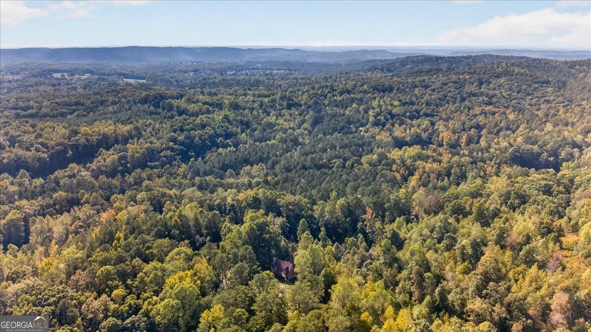 905 Hancock Mountain Trail Waleska - Photo 54