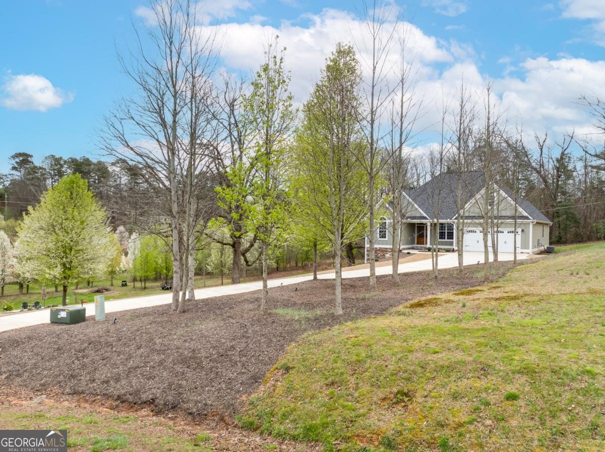 49 Caspian Trail Ellijay - Photo 45
