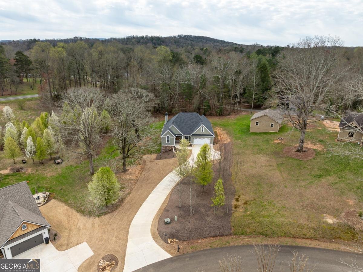 49 Caspian Trail Ellijay - Photo 47