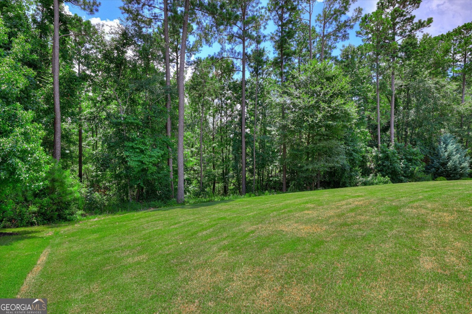 4324 Sabal Drive Evans - Photo 74