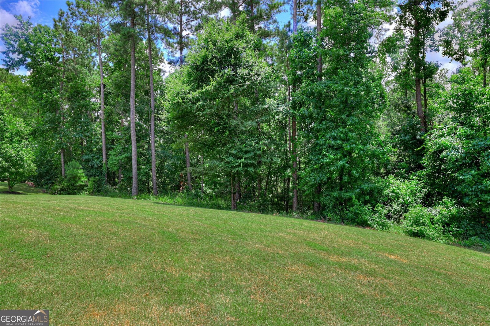 4324 Sabal Drive Evans - Photo 77