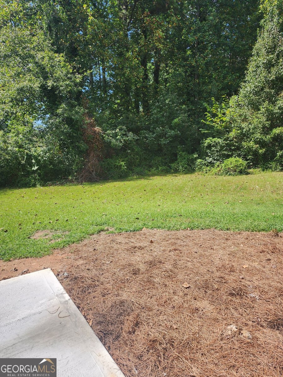 848 Eagle Creek Court Lawrenceville - Photo 38
