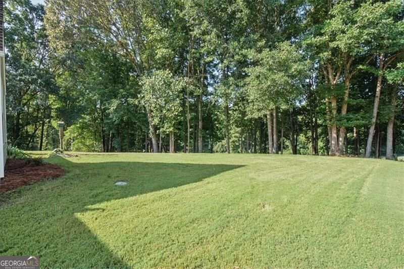 295 Glenn Eagles Way Hiram - Photo 41