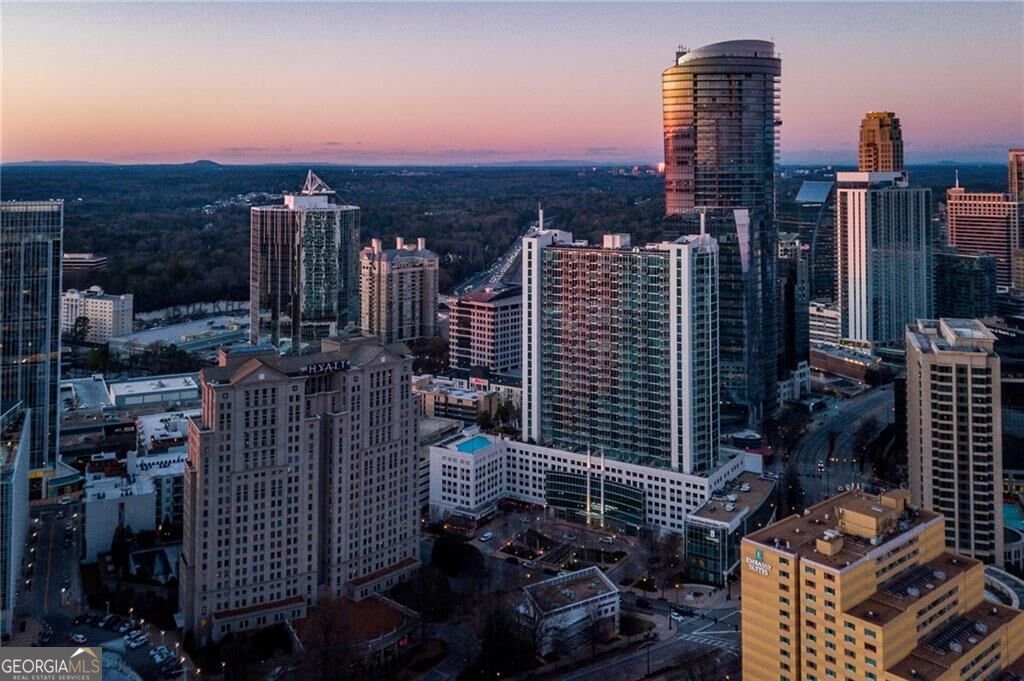3324 Peachtree Road Atlanta - Photo 53