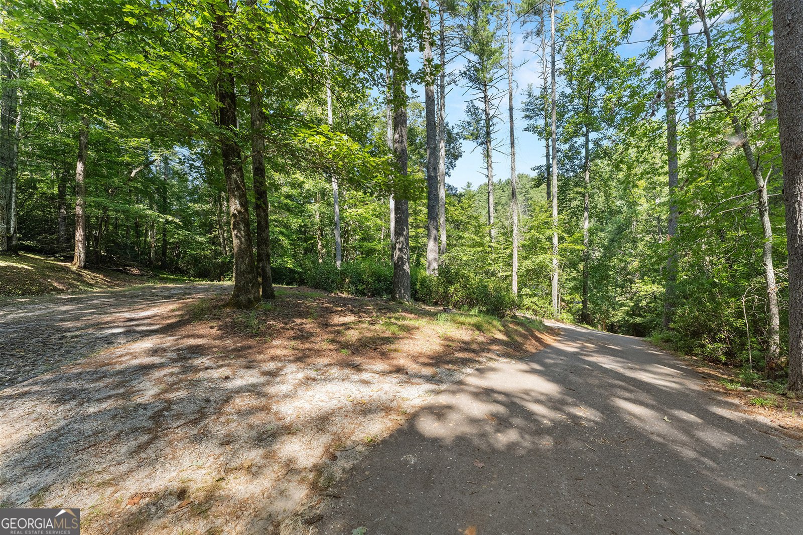 287 Blue Gate Lane Dahlonega - Photo 58
