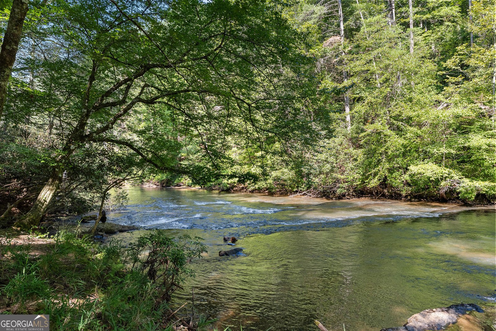 287 Blue Gate Lane Dahlonega - Photo 64