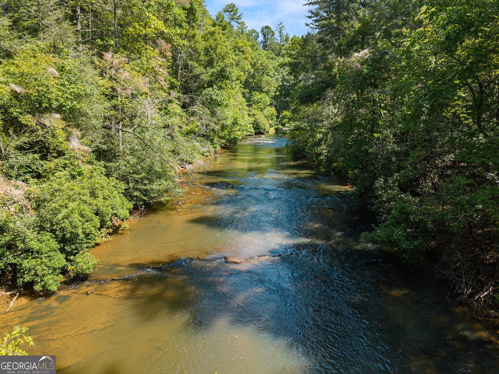 287 Blue Gate Lane Dahlonega - Photo 87
