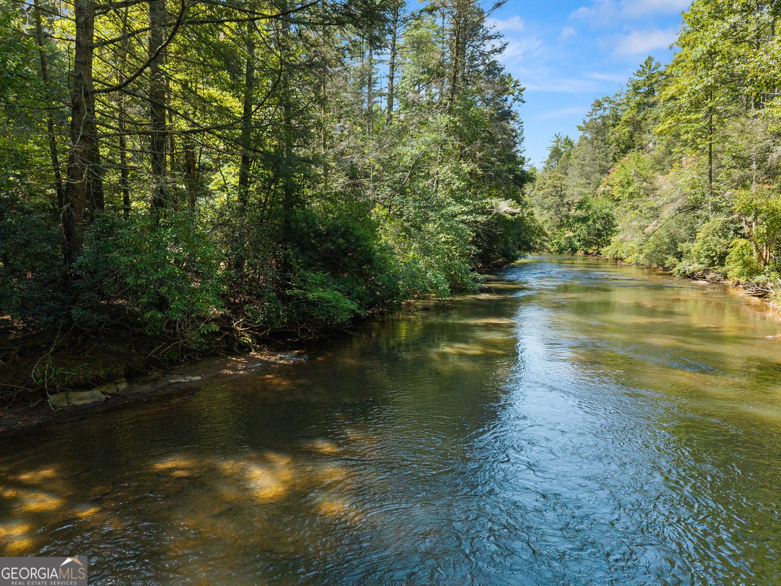 287 Blue Gate Lane Dahlonega - Photo 89