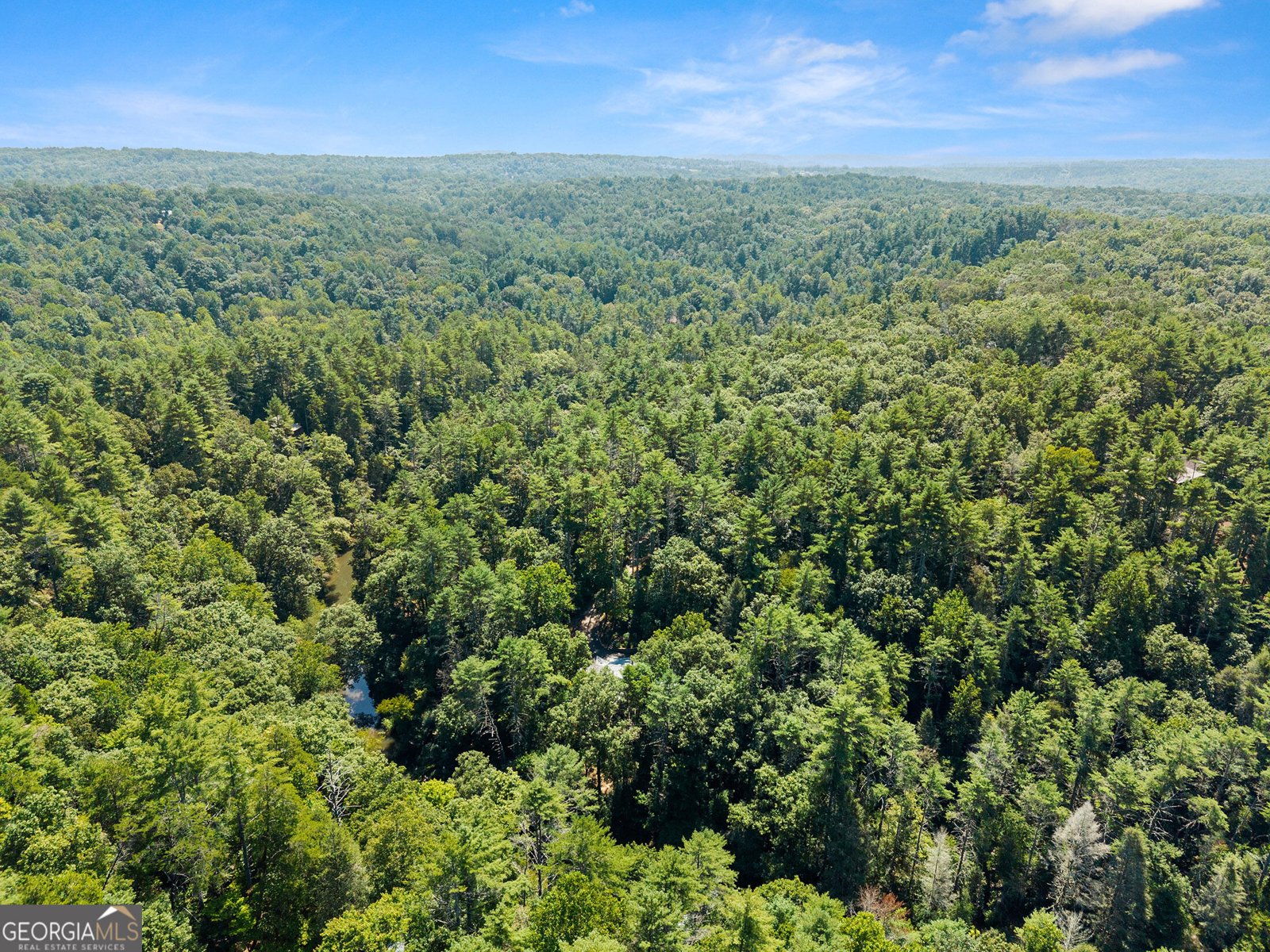 287 Blue Gate Lane Dahlonega - Photo 93