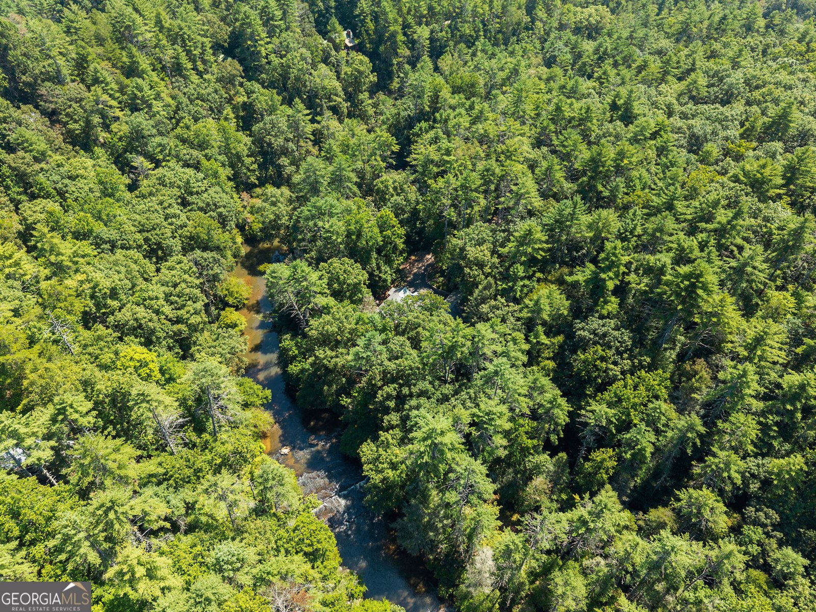 287 Blue Gate Lane Dahlonega - Photo 96