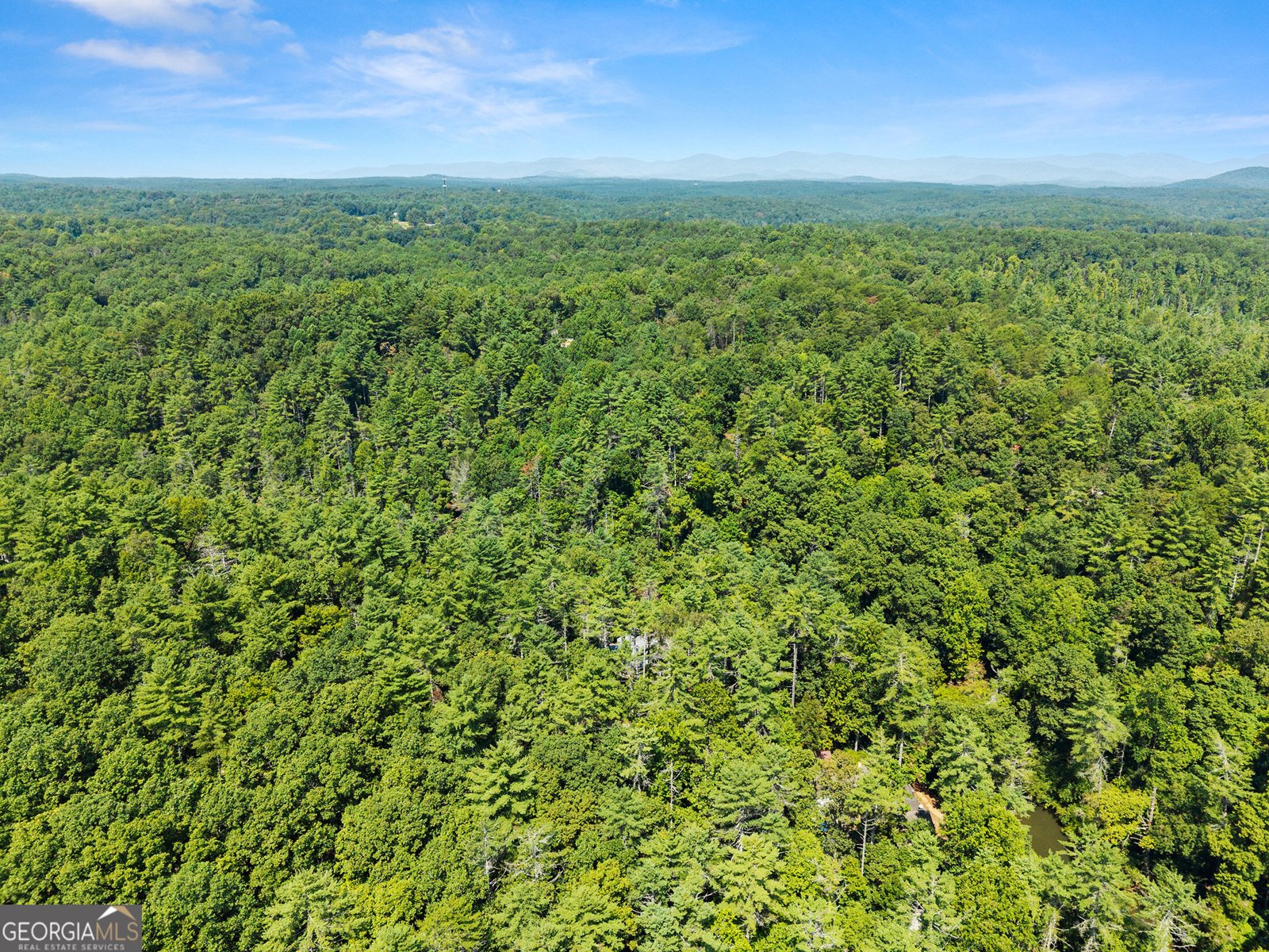 287 Blue Gate Lane Dahlonega - Photo 98