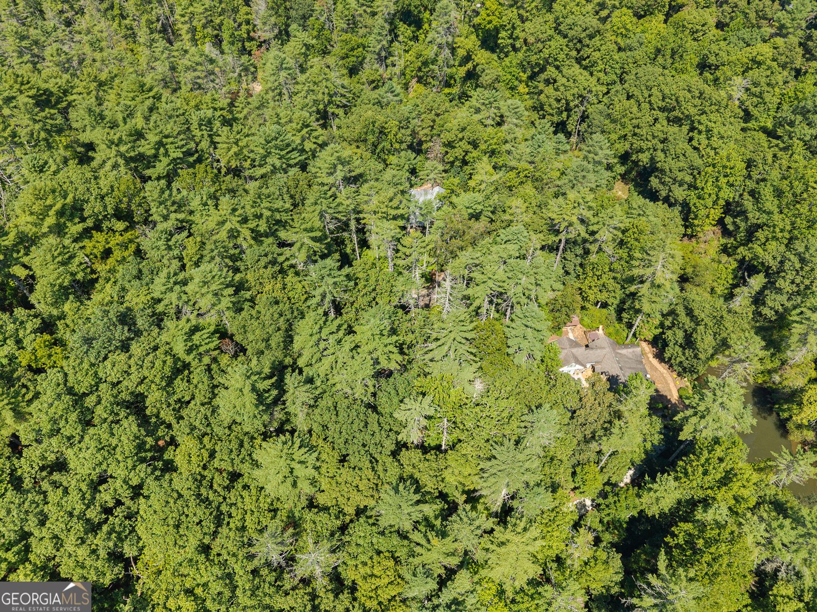 287 Blue Gate Lane Dahlonega - Photo 99