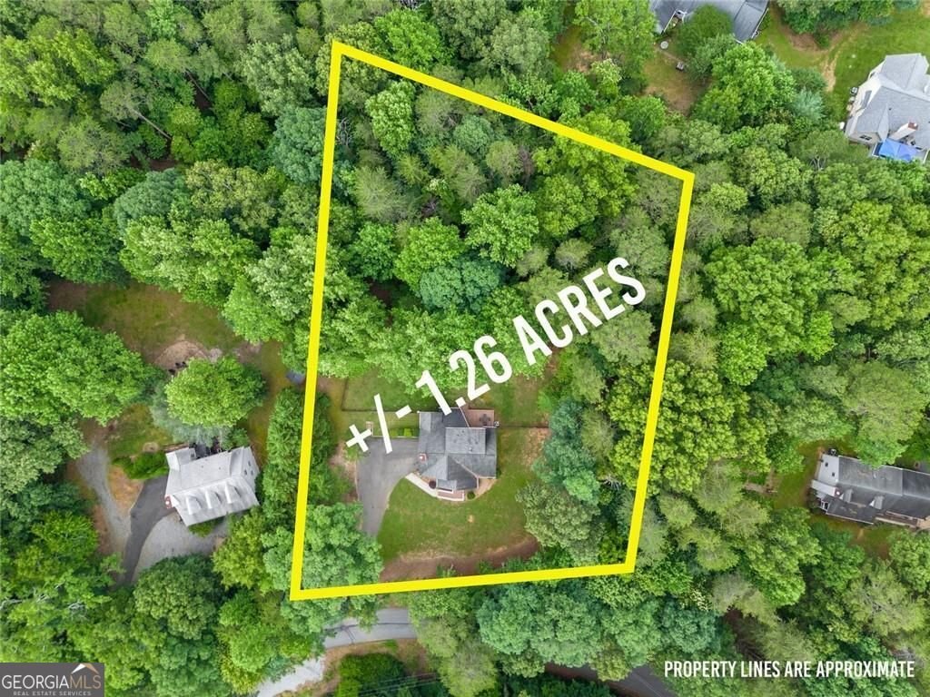 267 Martins Grove Road Dahlonega - Photo 50