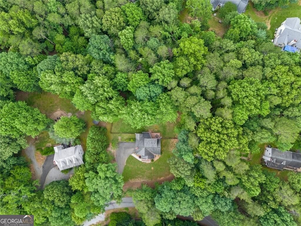 267 Martins Grove Road Dahlonega - Photo 51
