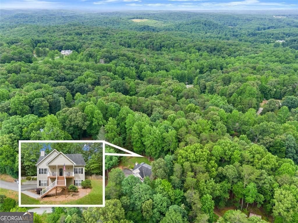 267 Martins Grove Road Dahlonega - Photo 52