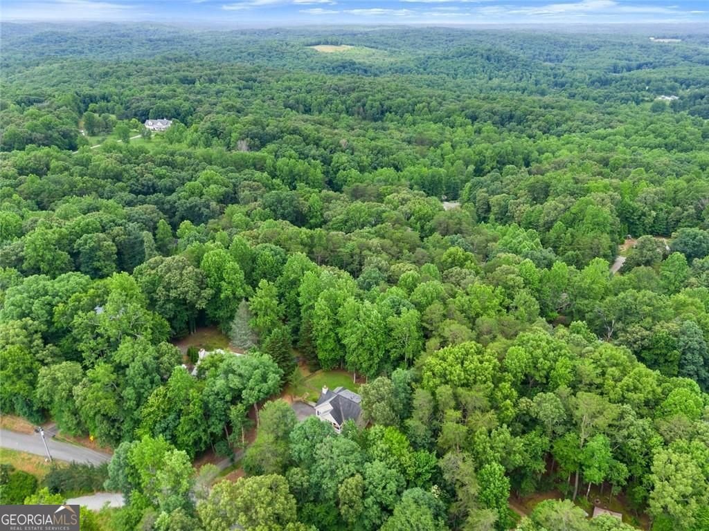 267 Martins Grove Road Dahlonega - Photo 54