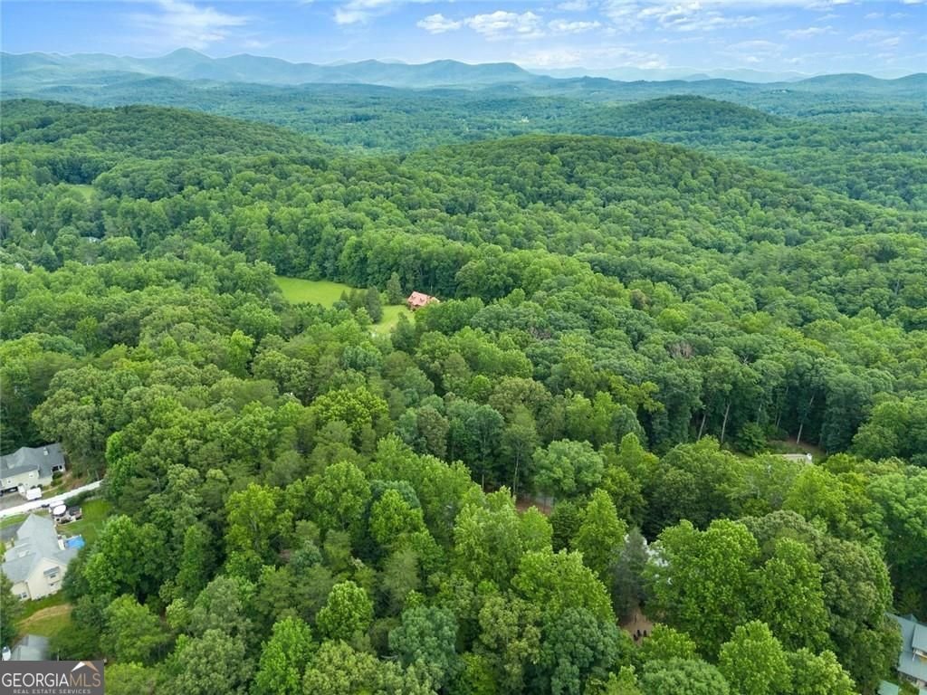 267 Martins Grove Road Dahlonega - Photo 55