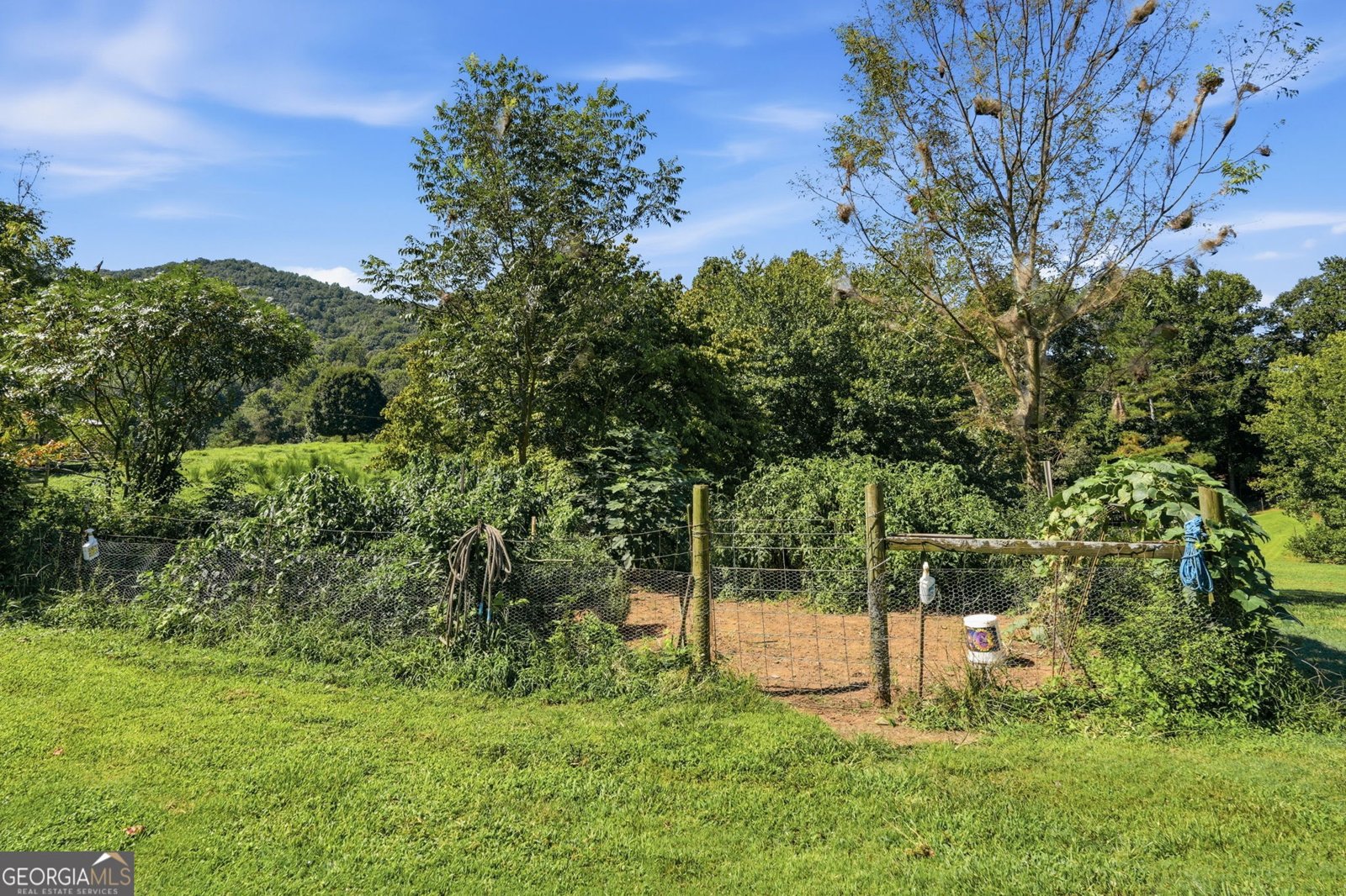 1673 Rackley Road Ellijay - Photo 57