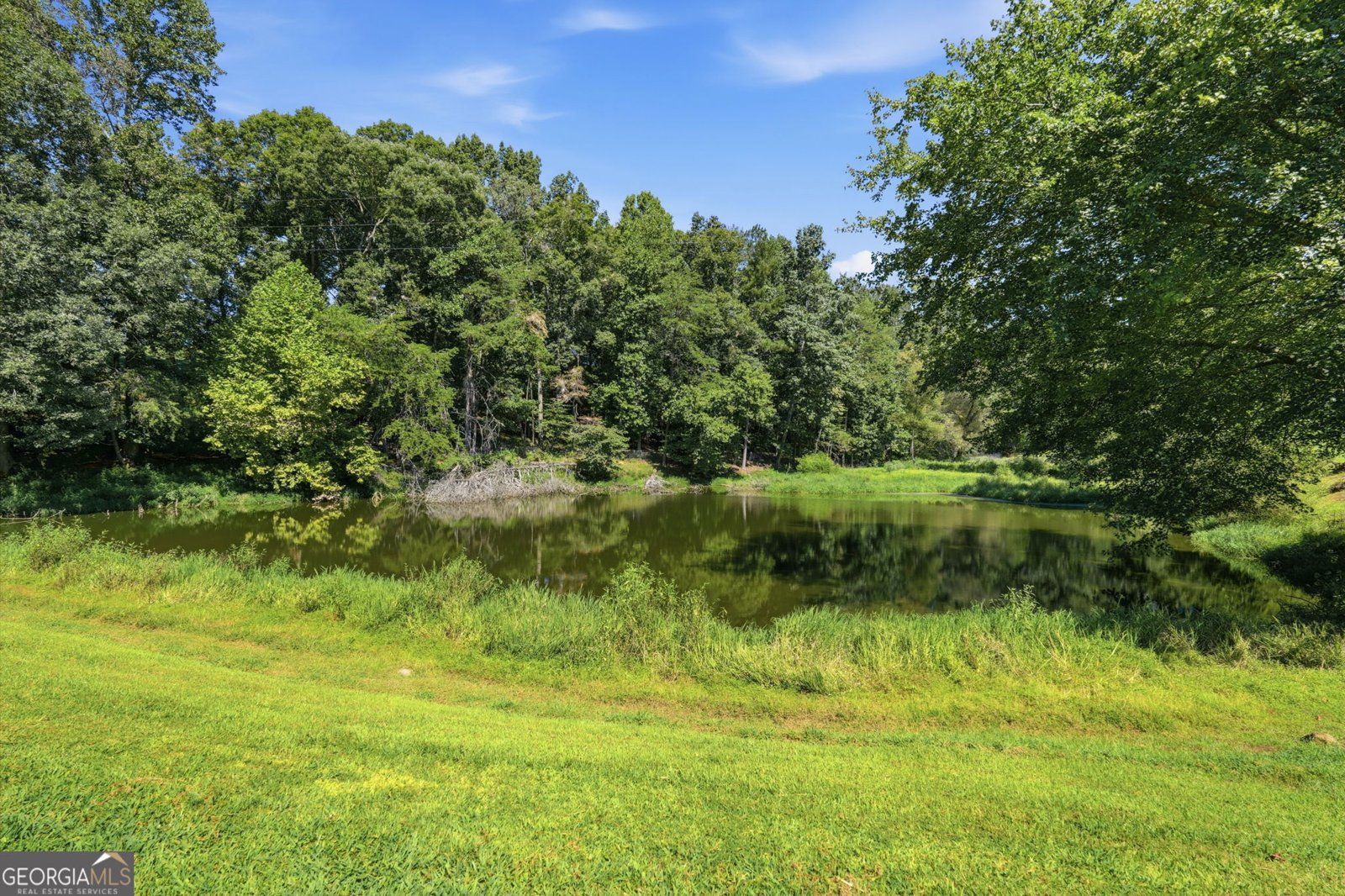 1673 Rackley Road Ellijay - Photo 63