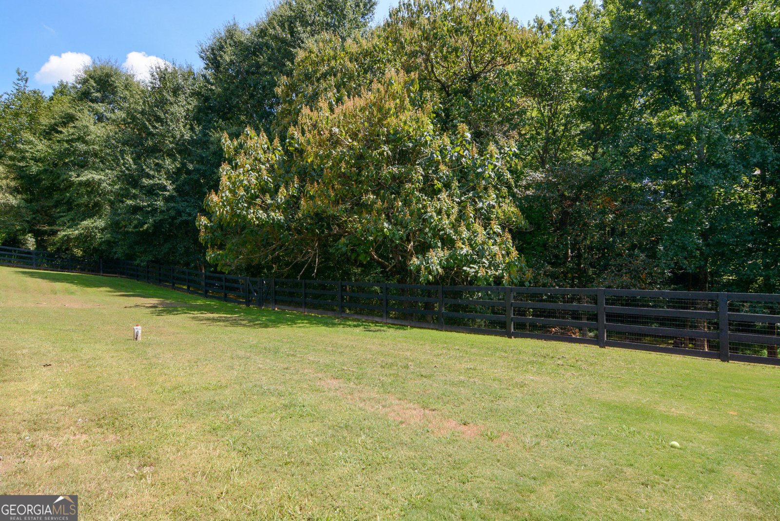 4465 Carters Creek Lane Cumming - Photo 64