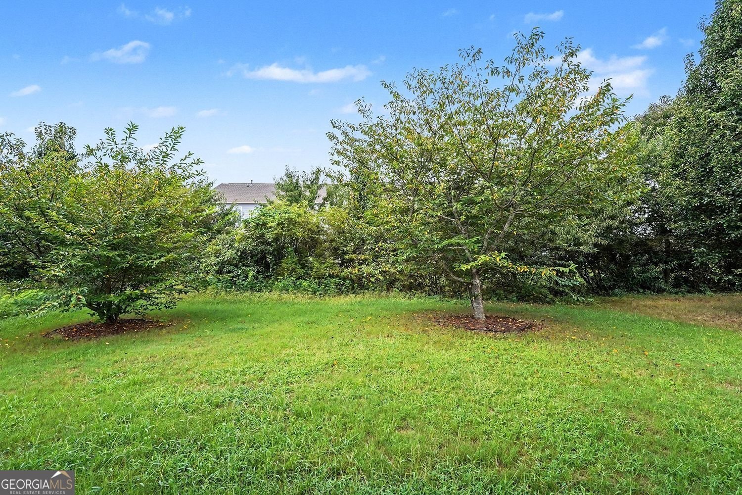 969 Parkside Place Avenue McDonough - Photo 19