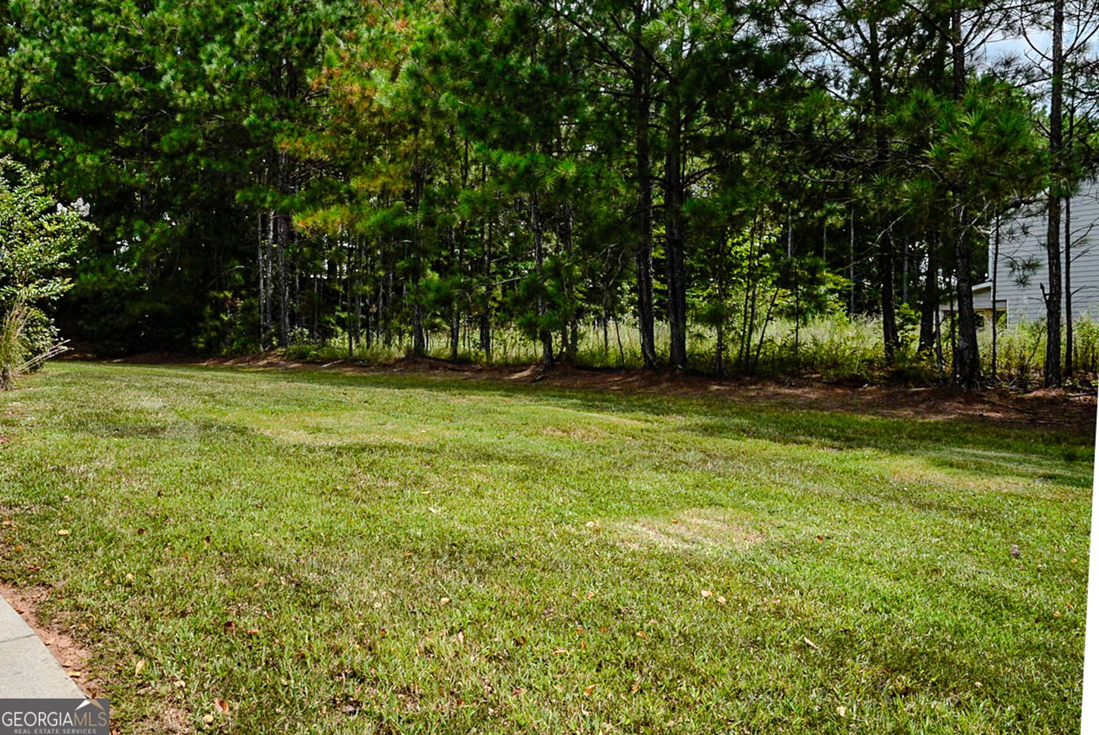 230 River Meadow Drive Lagrange - Photo 24