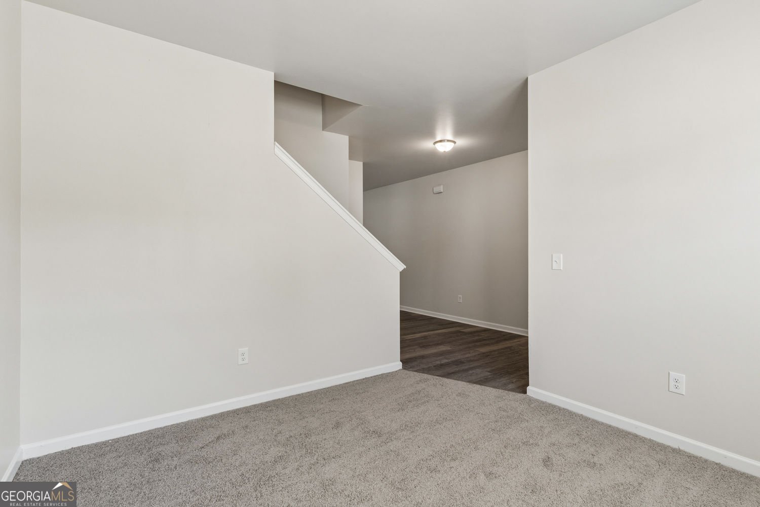 10 Easy Goer Court Cartersville - Photo 6