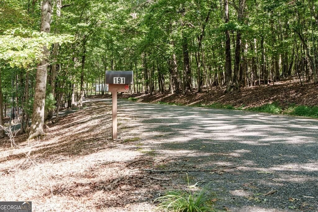 191 Deer Run Road Blairsville - Photo 55