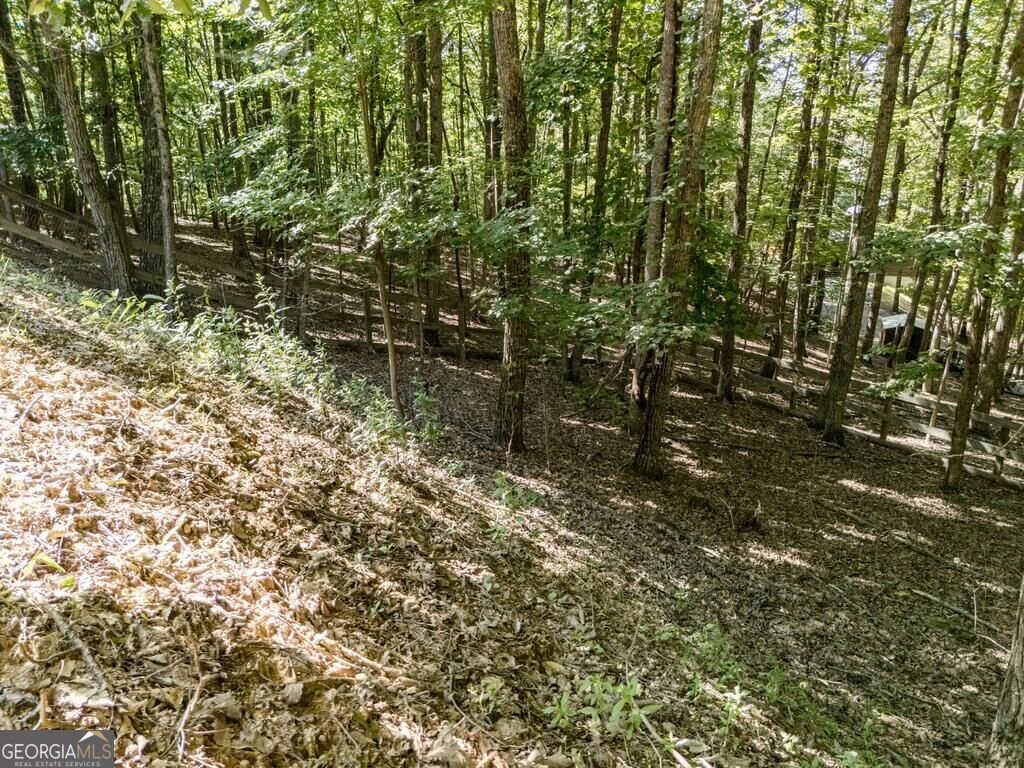 191 Deer Run Road Blairsville - Photo 56