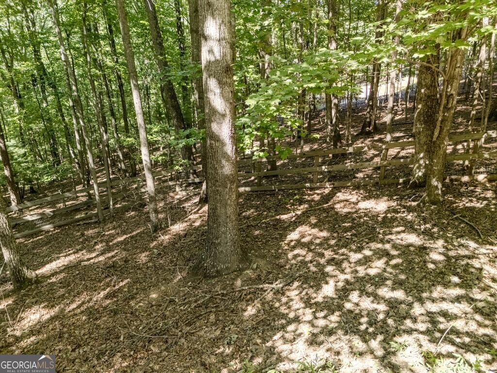 191 Deer Run Road Blairsville - Photo 57