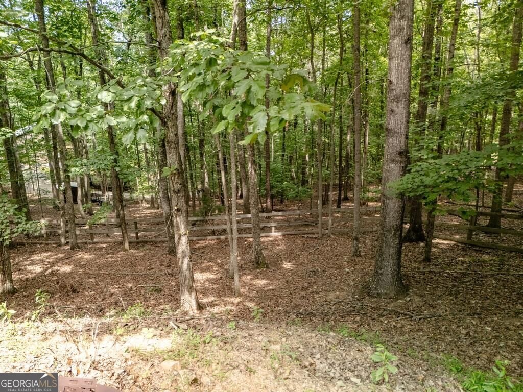191 Deer Run Road Blairsville - Photo 58