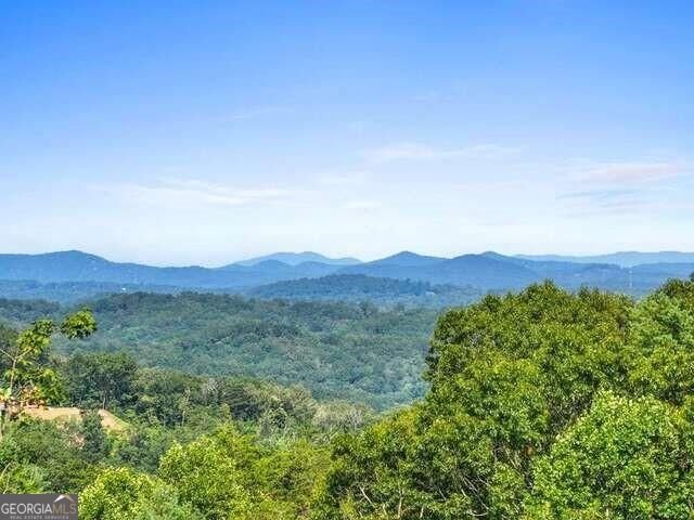 465 White Oak Circle Blue Ridge - main photo