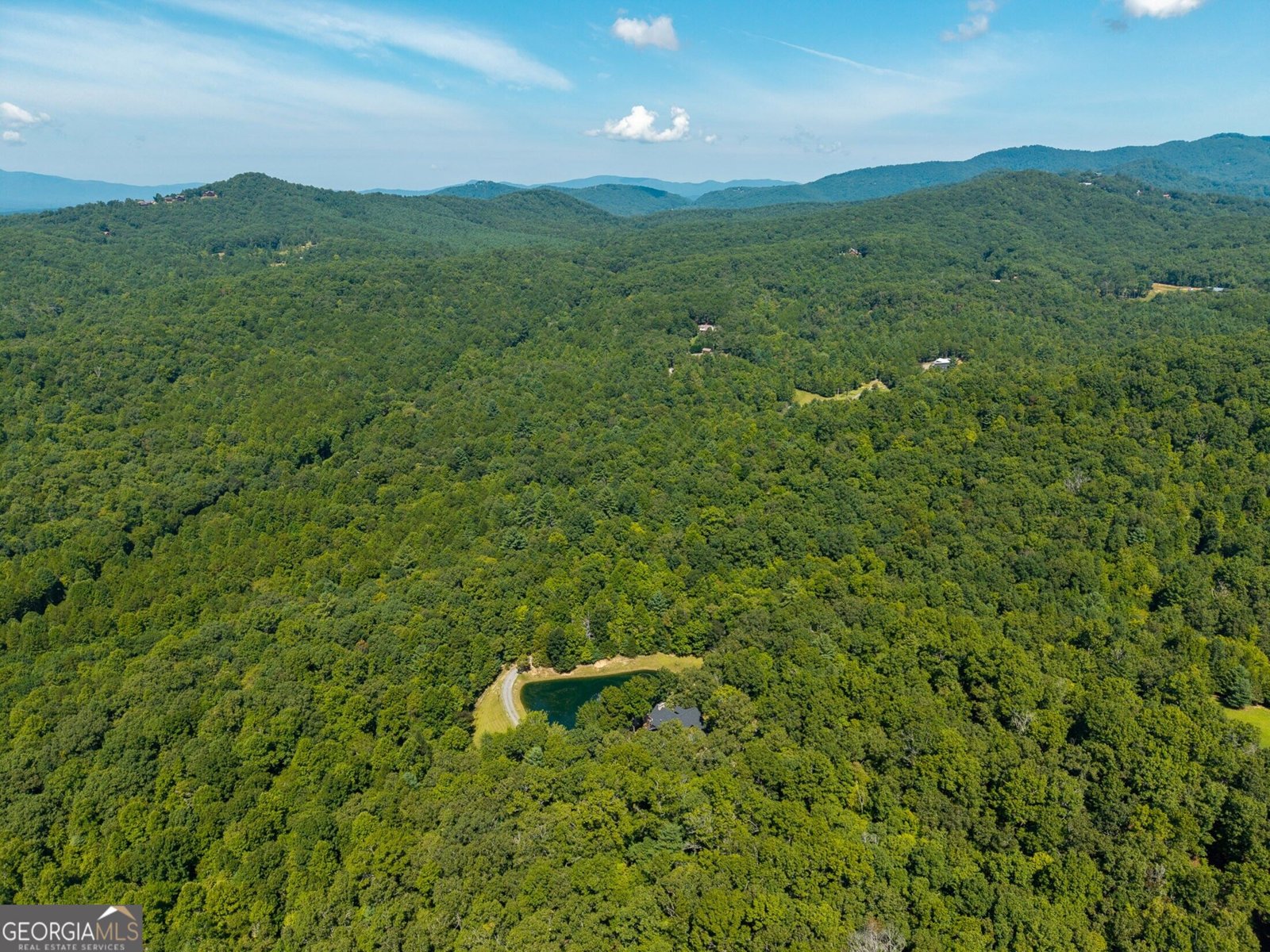 505 Old Salem Road Mineral Bluff - Photo 113