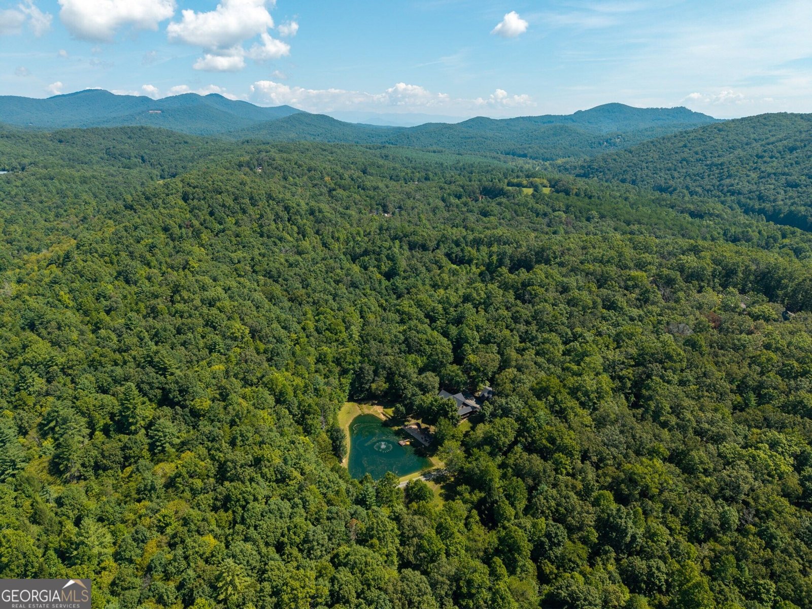 505 Old Salem Road Mineral Bluff - Photo 115