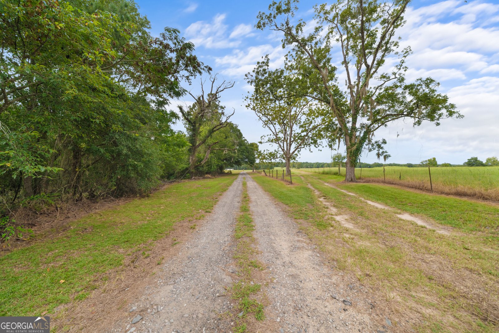3964 Hwy 17 Millen - Photo 44