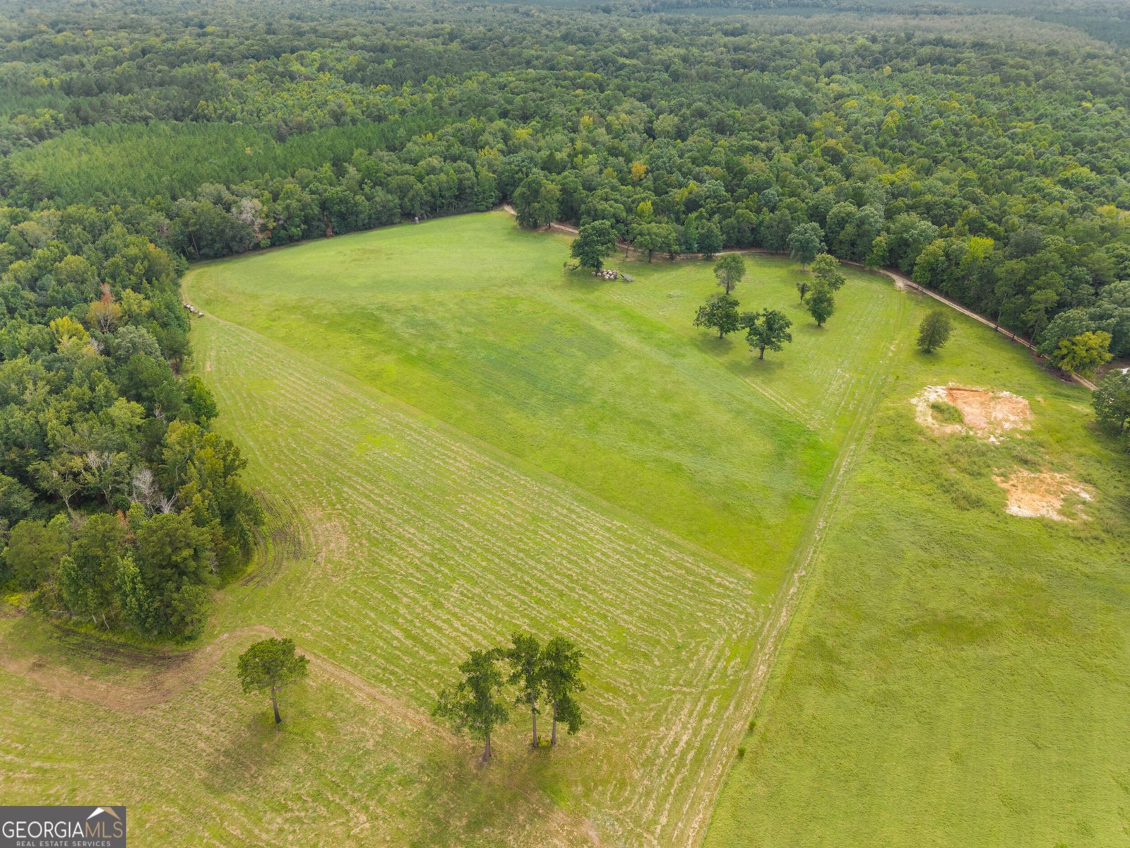 3964 Hwy 17 Millen - Photo 54