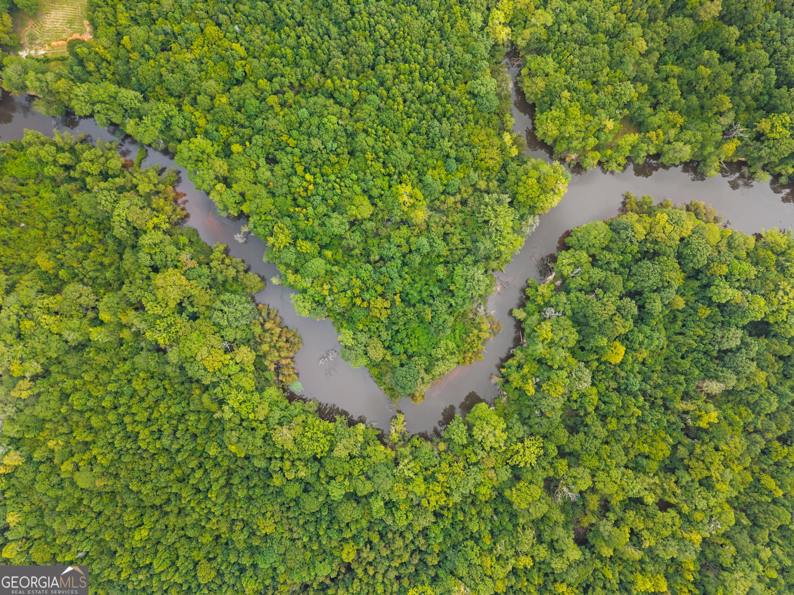 3964 Hwy 17 Millen - Photo 56