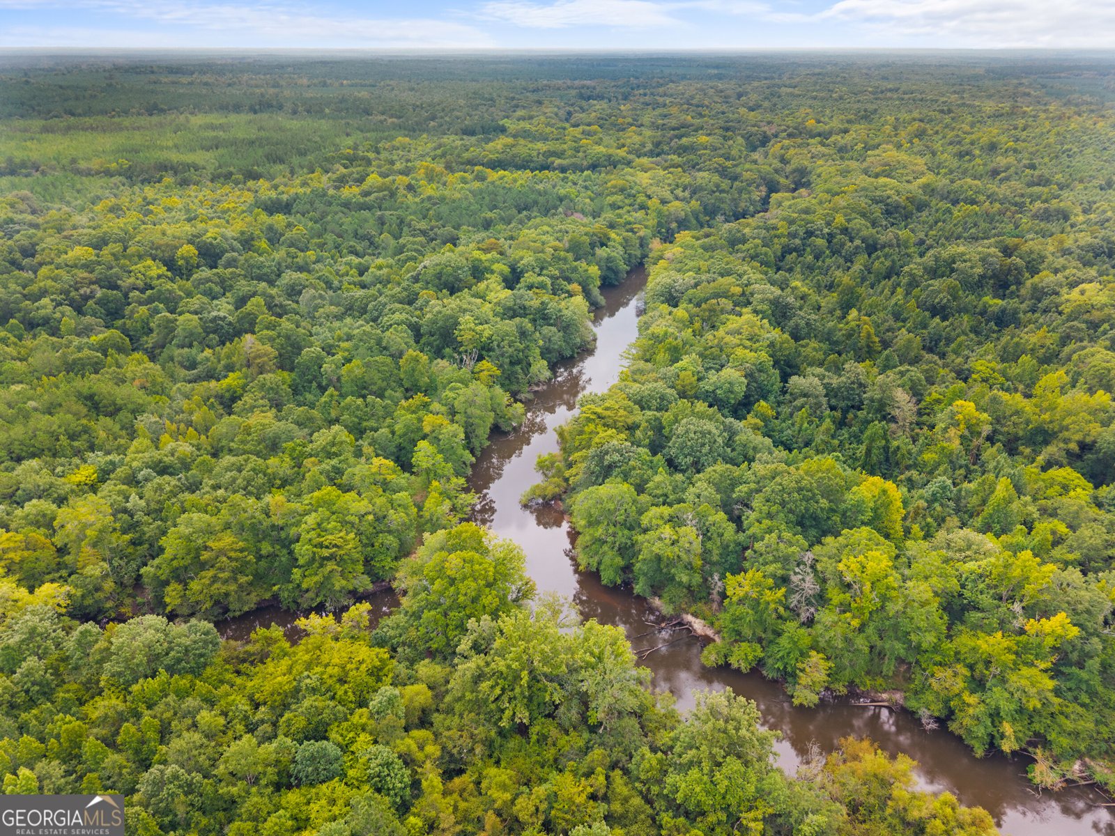 3964 Hwy 17 Millen - Photo 57