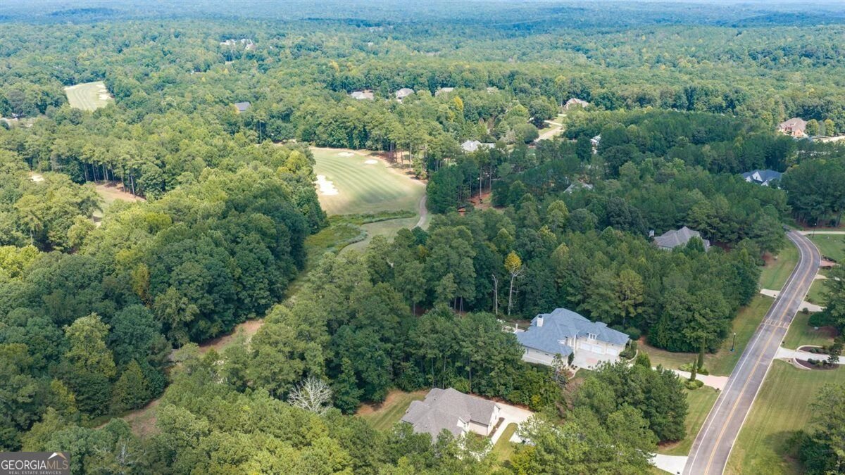 124 Fairway Run Forsyth - Photo 74