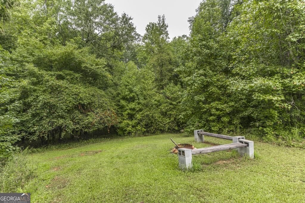 222 Tommys Trail Forsyth - Photo 32