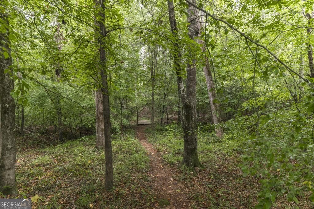 222 Tommys Trail Forsyth - Photo 33