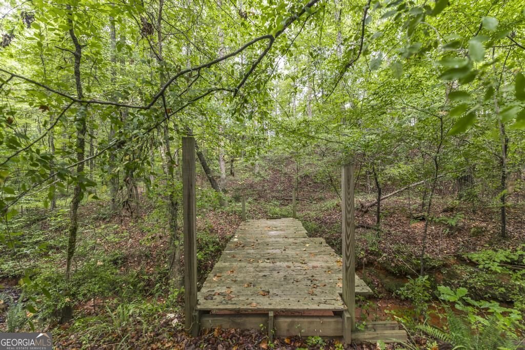 222 Tommys Trail Forsyth - Photo 34