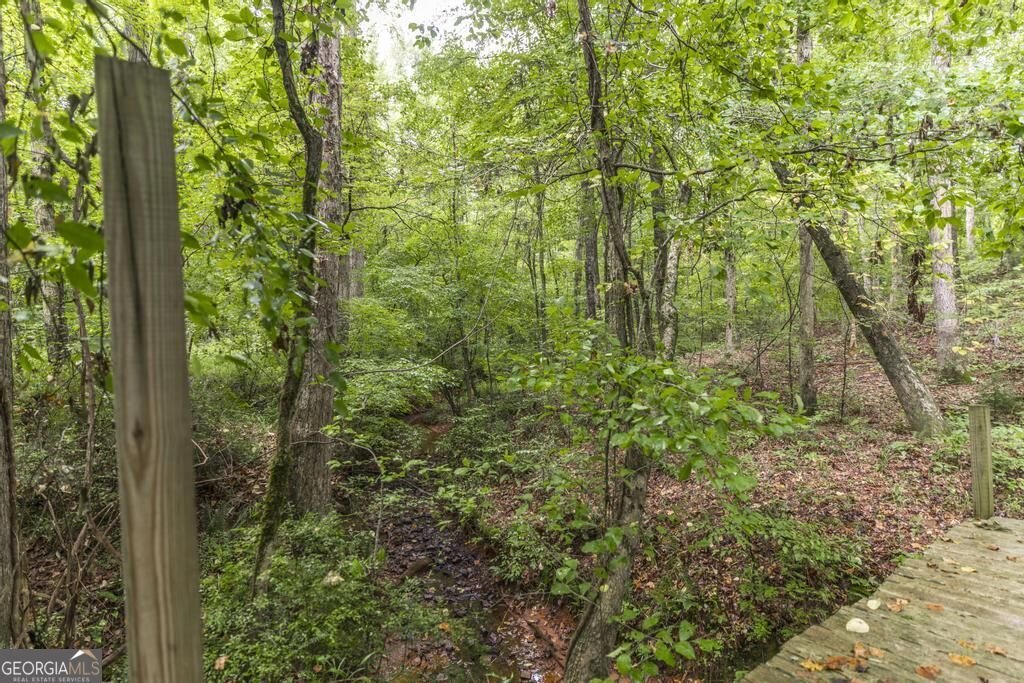 222 Tommys Trail Forsyth - Photo 35