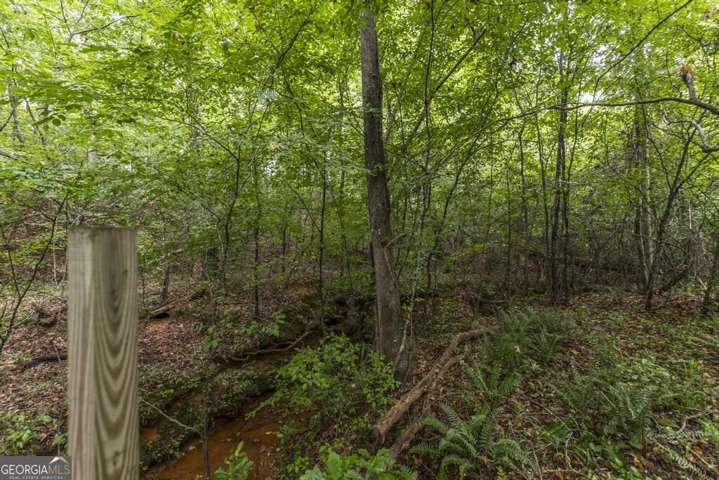 222 Tommys Trail Forsyth - Photo 36